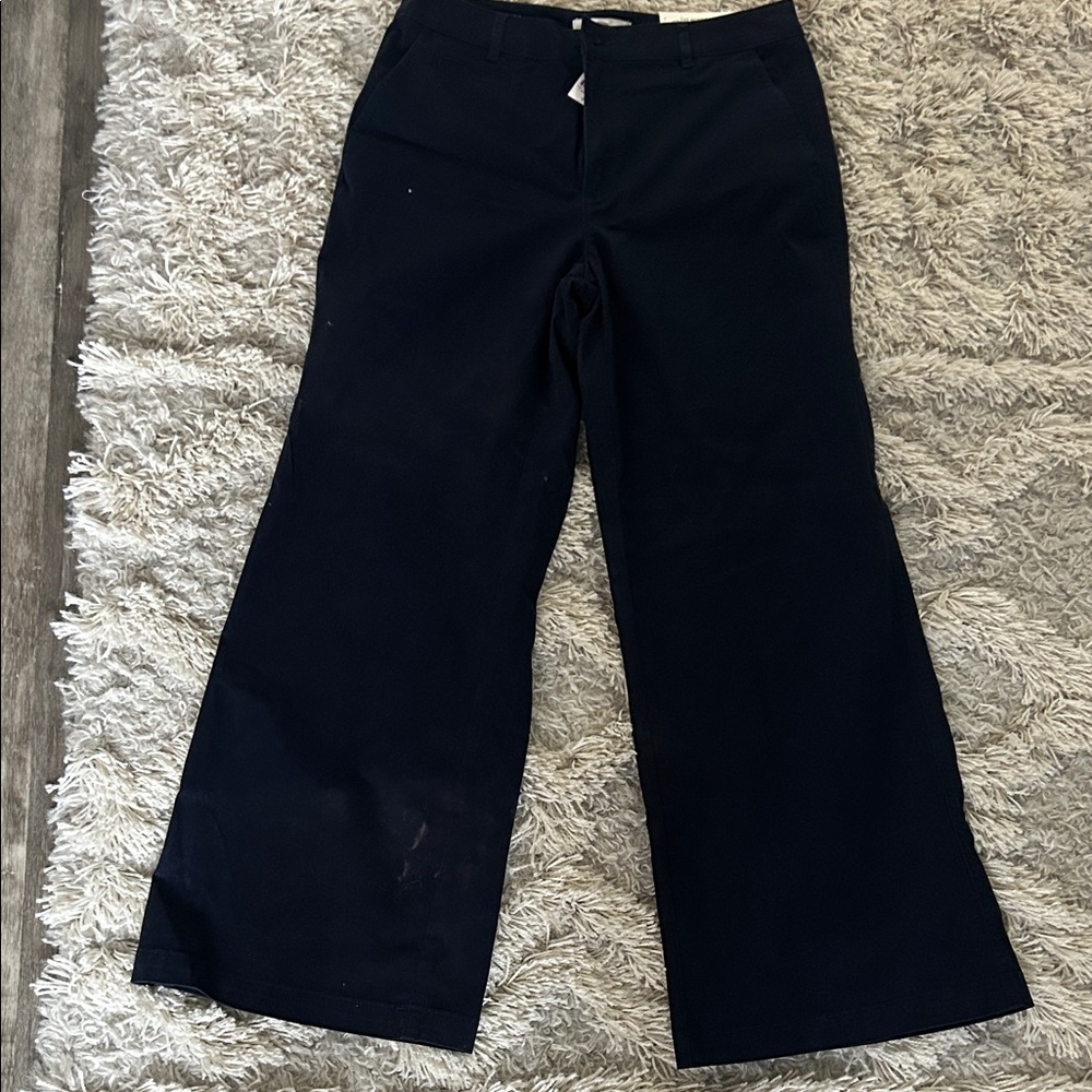 LOFT Navy Wide-Leg Pants
